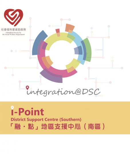 DSC-Leaflet(Chinese version)